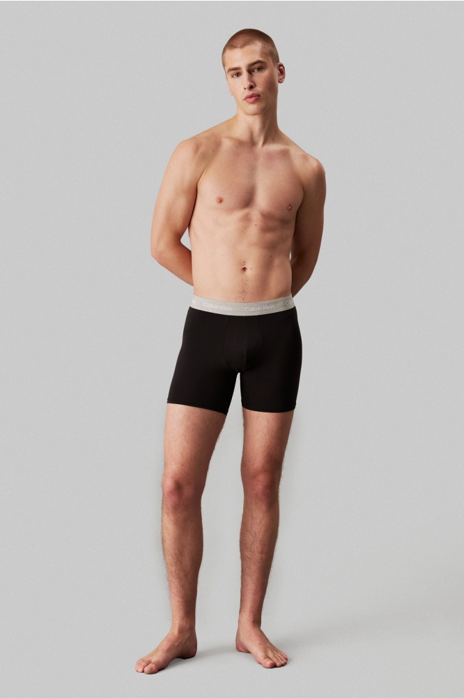 BOXER BRIEF 5PK 000NB3794A B TUR, R GR, GR H, D MV, SD WBS